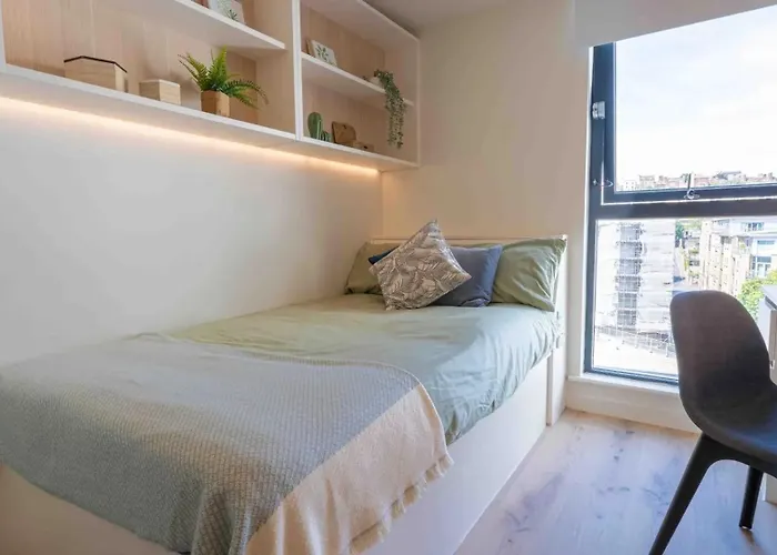 For Students Only - Iq * ブリストル